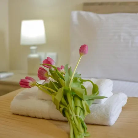 Amore Apartment アパート